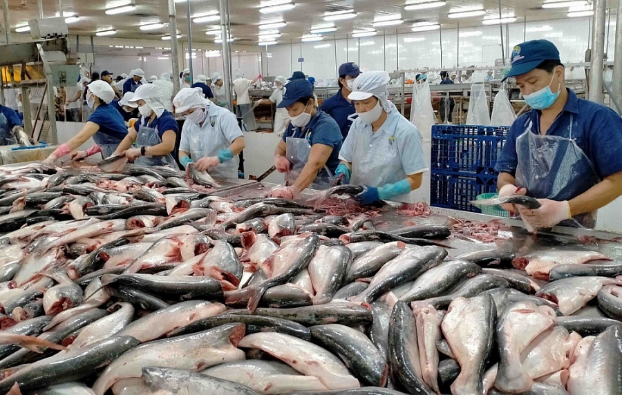 Thái Lan thắt chặt thủ tục nhập khẩu thủy sản